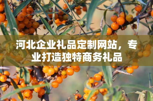河北企业礼品定制网站，专业打造独特商务礼品