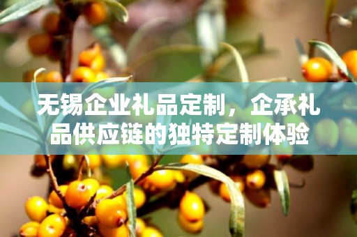 无锡企业礼品定制，企承礼品供应链的独特定制体验
