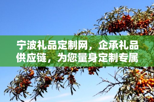 宁波礼品定制网，企承礼品供应链，为您量身定制专属礼品