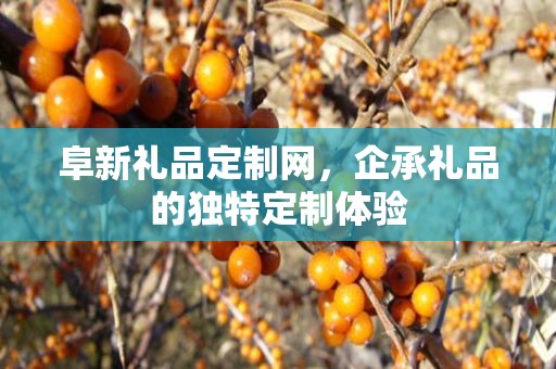 阜新礼品定制网，企承礼品的独特定制体验
