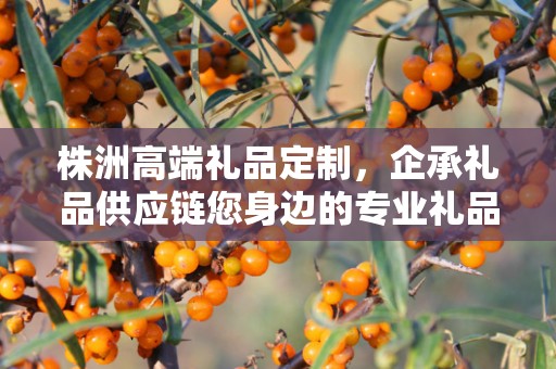 株洲高端礼品定制，企承礼品供应链您身边的专业礼品定制公司
