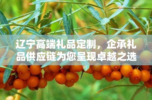 辽宁高端礼品定制，企承礼品供应链为您呈现卓越之选