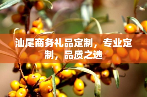 汕尾商务礼品定制，专业定制，专业公司